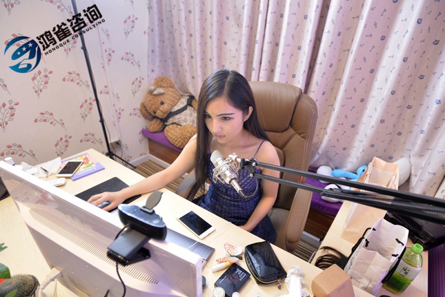 網(wǎng)絡(luò)文化經(jīng)營(yíng)許可證續(xù)期